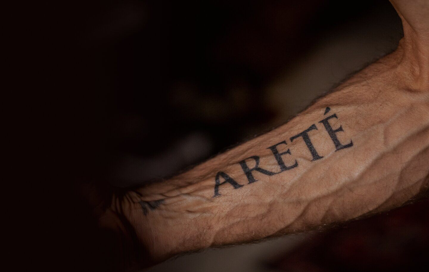 aretearm